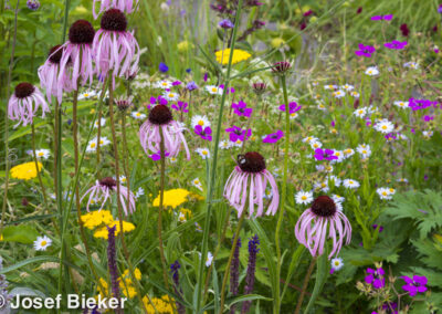 Agate Prairie Garden