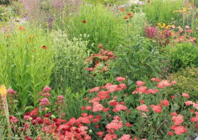 Copper Prairie Garden