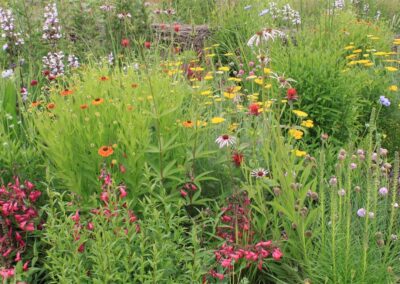 Diamond Prairie Garden