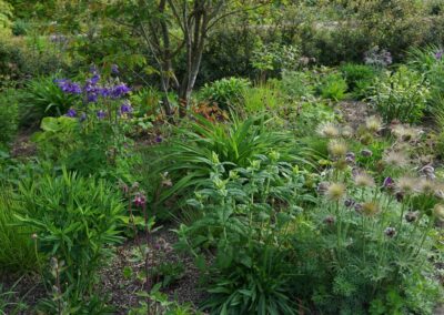 Emerald (Smaragd) Prairie Garden
