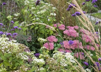 Fluorite Prairie Garden