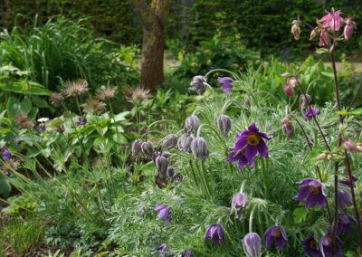 Onyx Prairie Garden