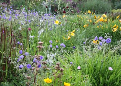 Opal Prairie Garden