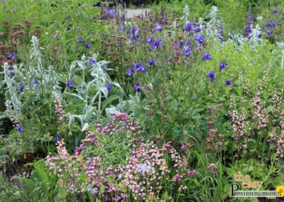 Pearl Prairie Garden