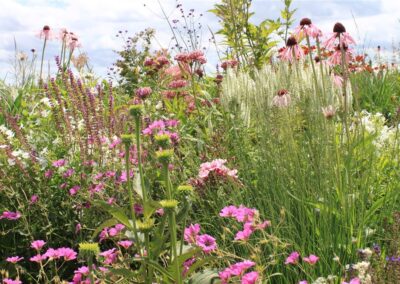 Quartz Prairie Garden