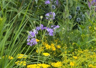 Sapphire Prairie Garden