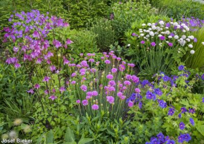 Spinel Prairie Garden