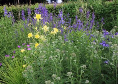 Steel Prairie Garden