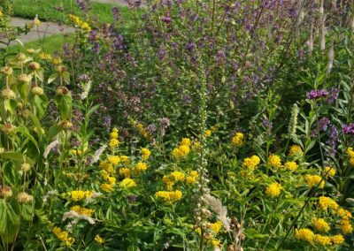 Sulfur Prairie Garden
