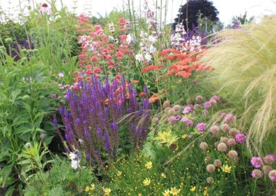 Tourmaline Prairie Garden