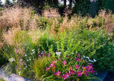 Turquoise Prairie Garden
